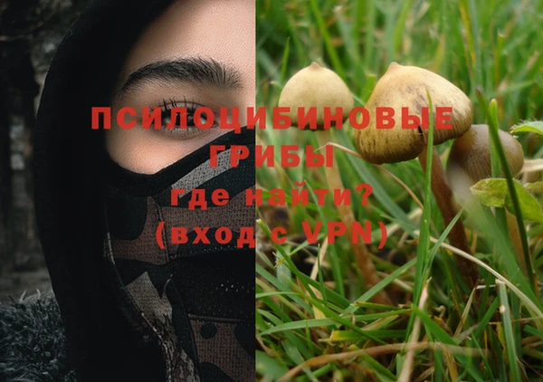кокс Баксан