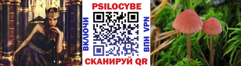 Псилоцибиновые грибы ЛСД  Кудымкар 